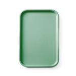 AmerBox Taca fast food z polipropylenu GN 1/1 GN 1/1 zielony 530x325x20 mm Prostokątny | Amerbox