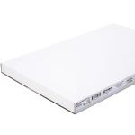Stalgast Papier do pieczenia silikonowy GN 1/1 500 szt. | Stalgast